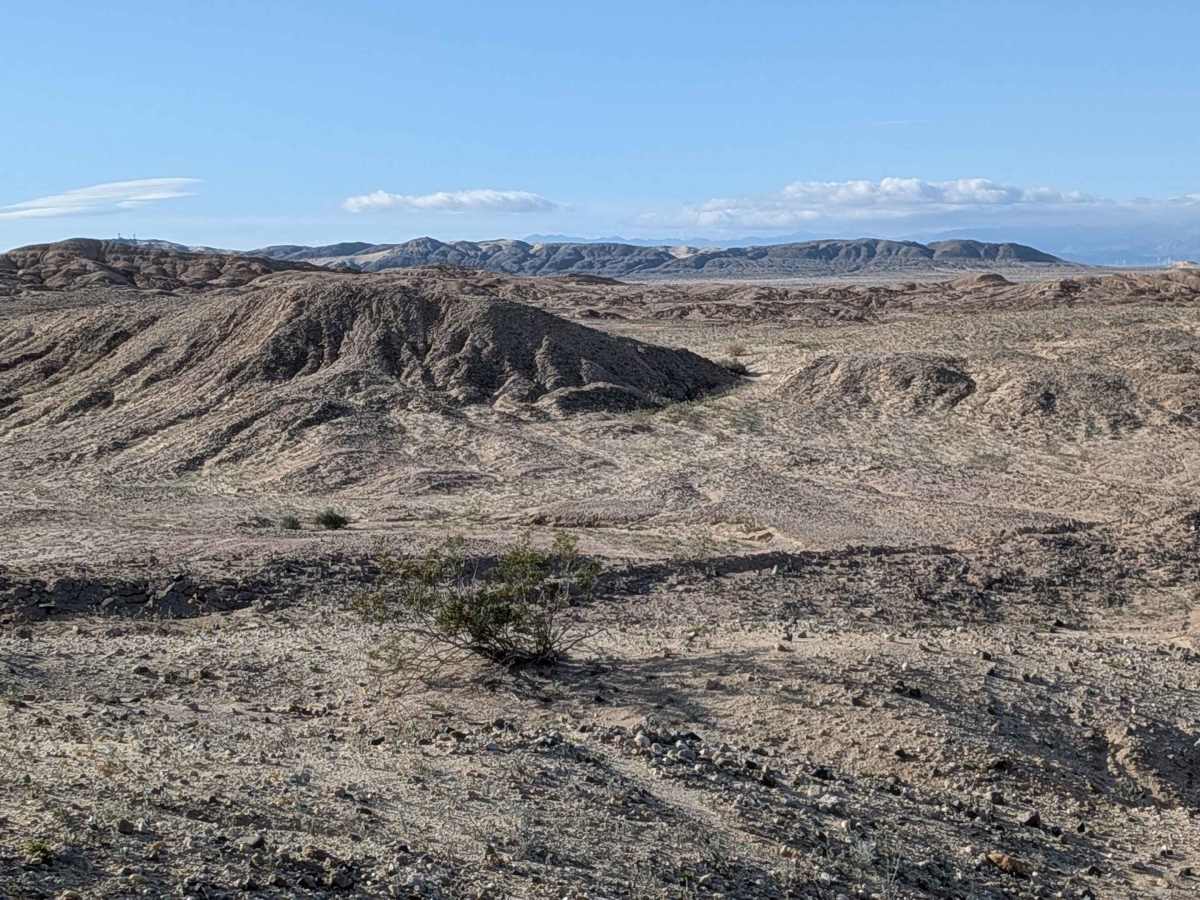 BLM 310 photo 2