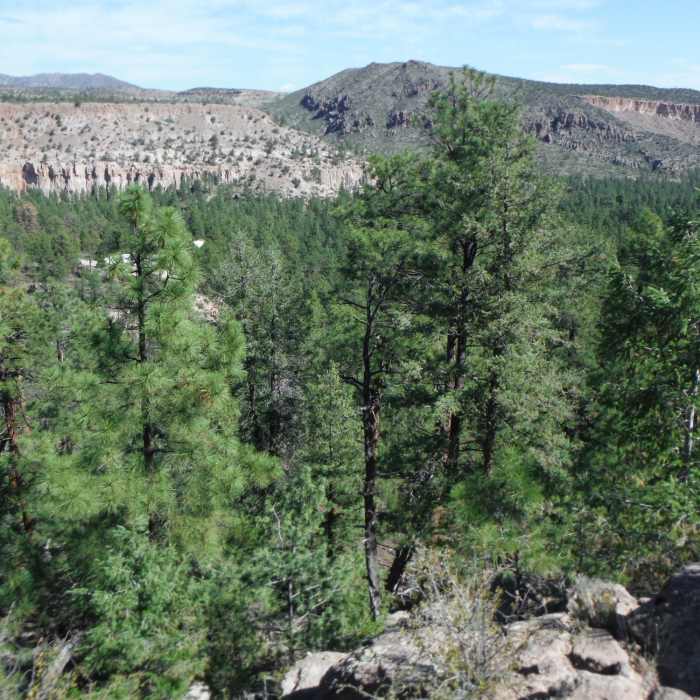 Near Barranca Mesa-Guaje Mtn-Guaje Canyon