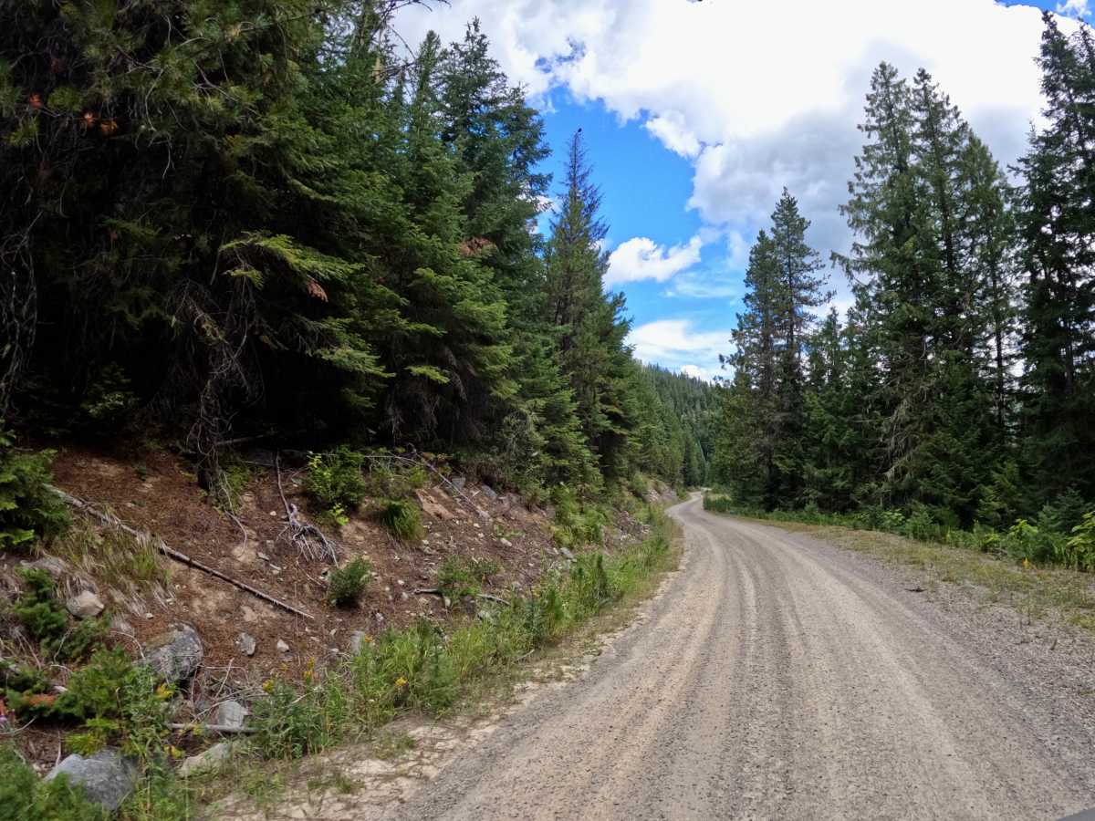 Newman Ridge Road (1185) - Canyon Creek Road (3816) photo 4