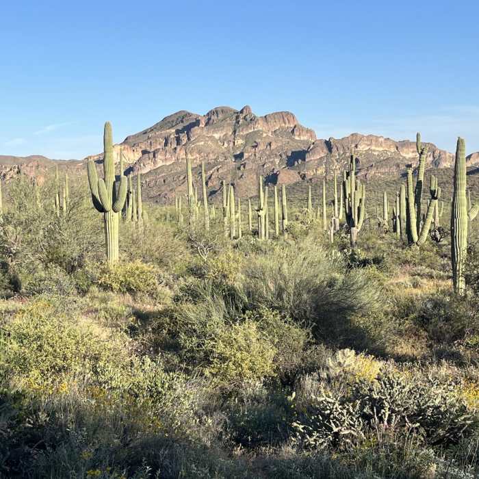 Near Shaka Cave via the Lost Goldmine Trail