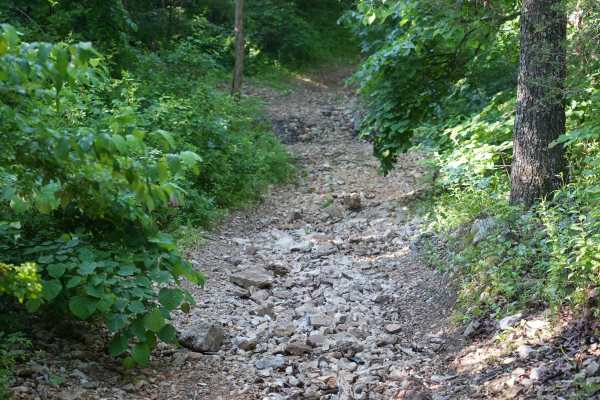 Schneider Hollow