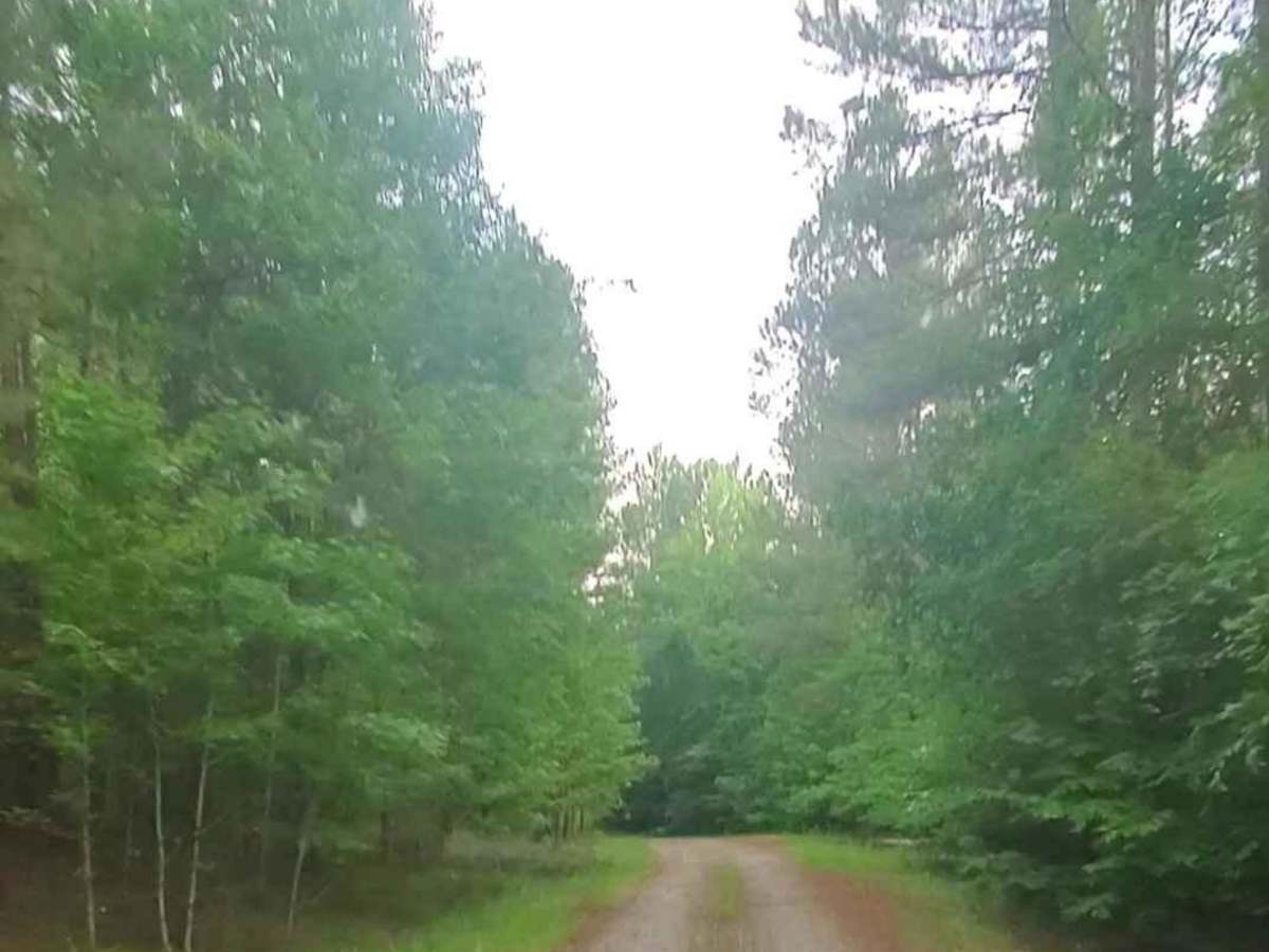 Lick Fork Road photo 6