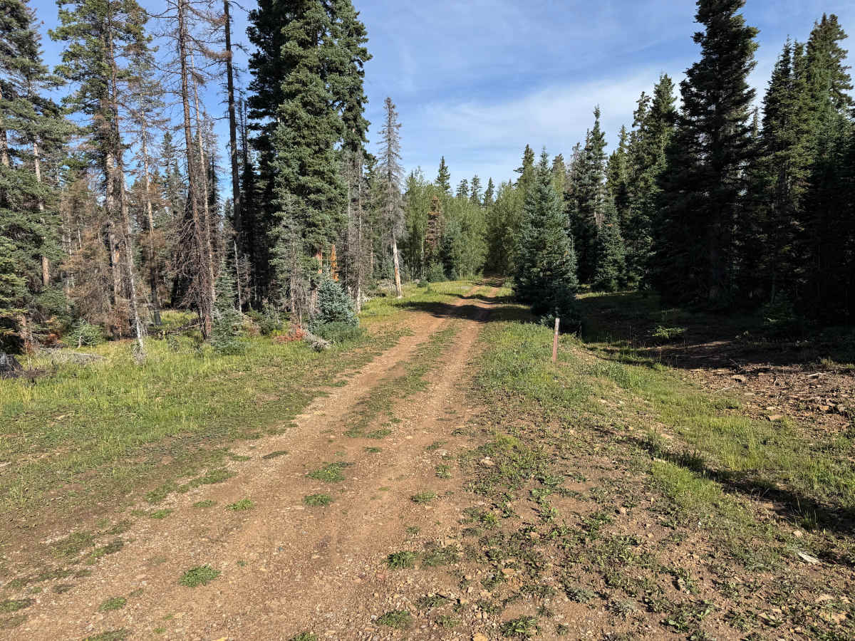 Little Hell Road trail photo