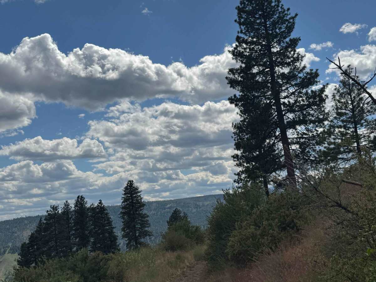 Garrett Canyon Road photo 2