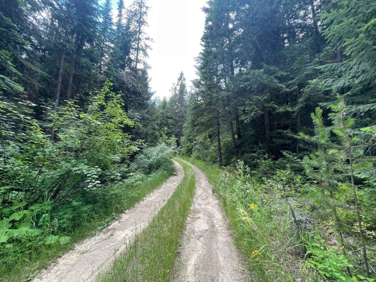 Rock Creek Tarkio photo 4