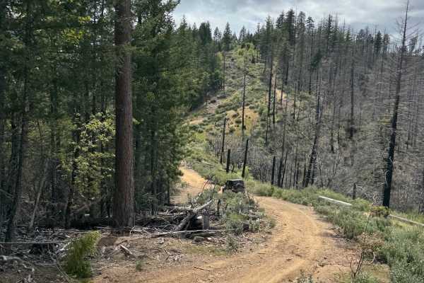 Rattlesnake 4x4 85467
