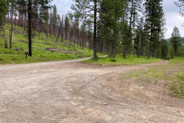 Sheep Creek