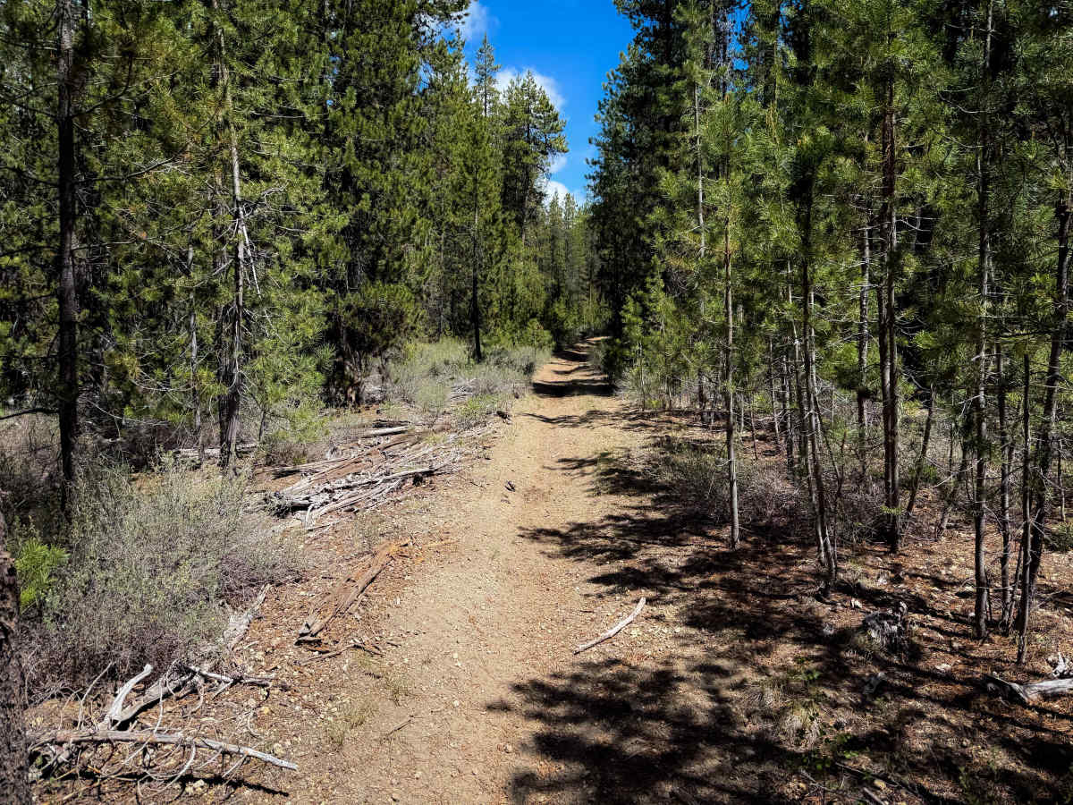 Trail 18  photo 3