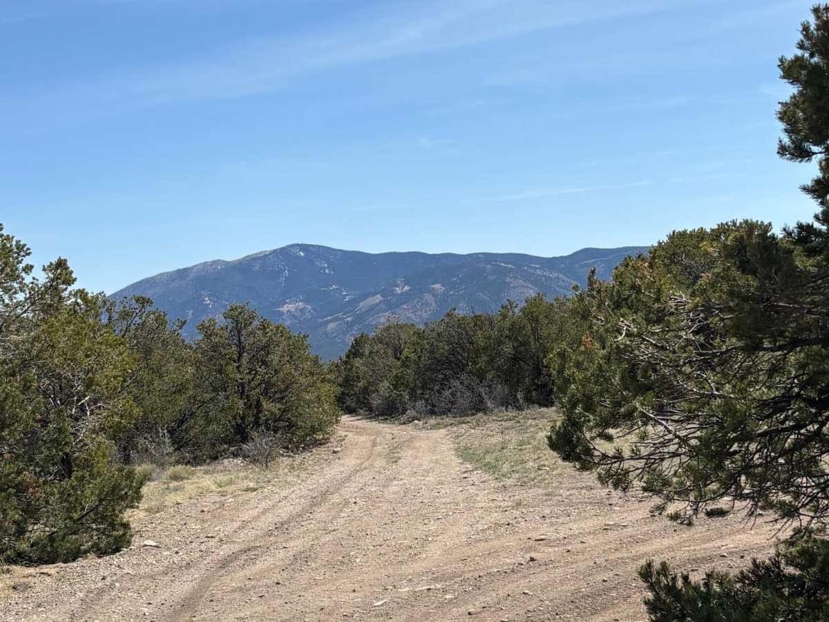 BLM 5630 trail photo