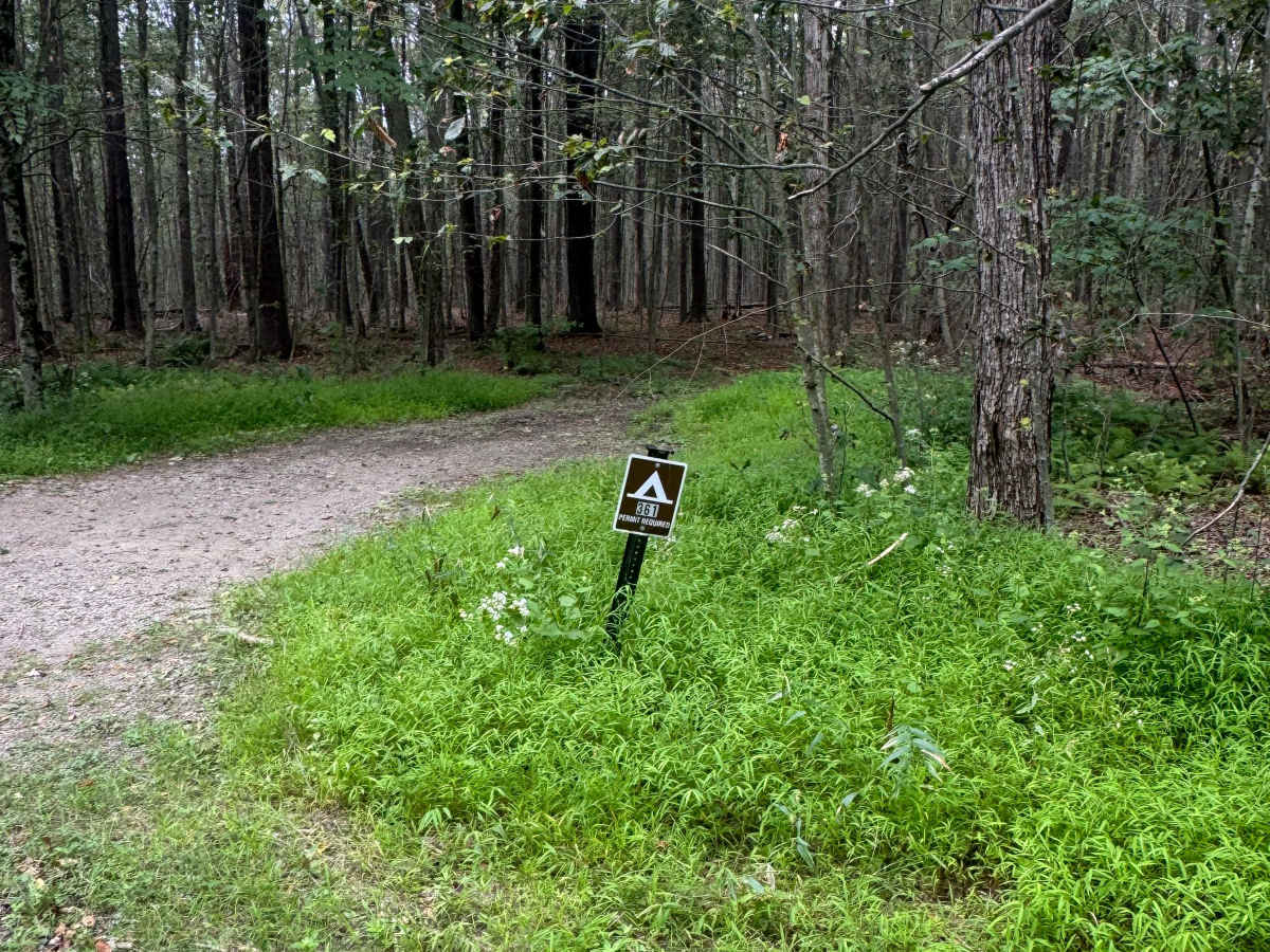 Ellenton Ridge Road photo 6