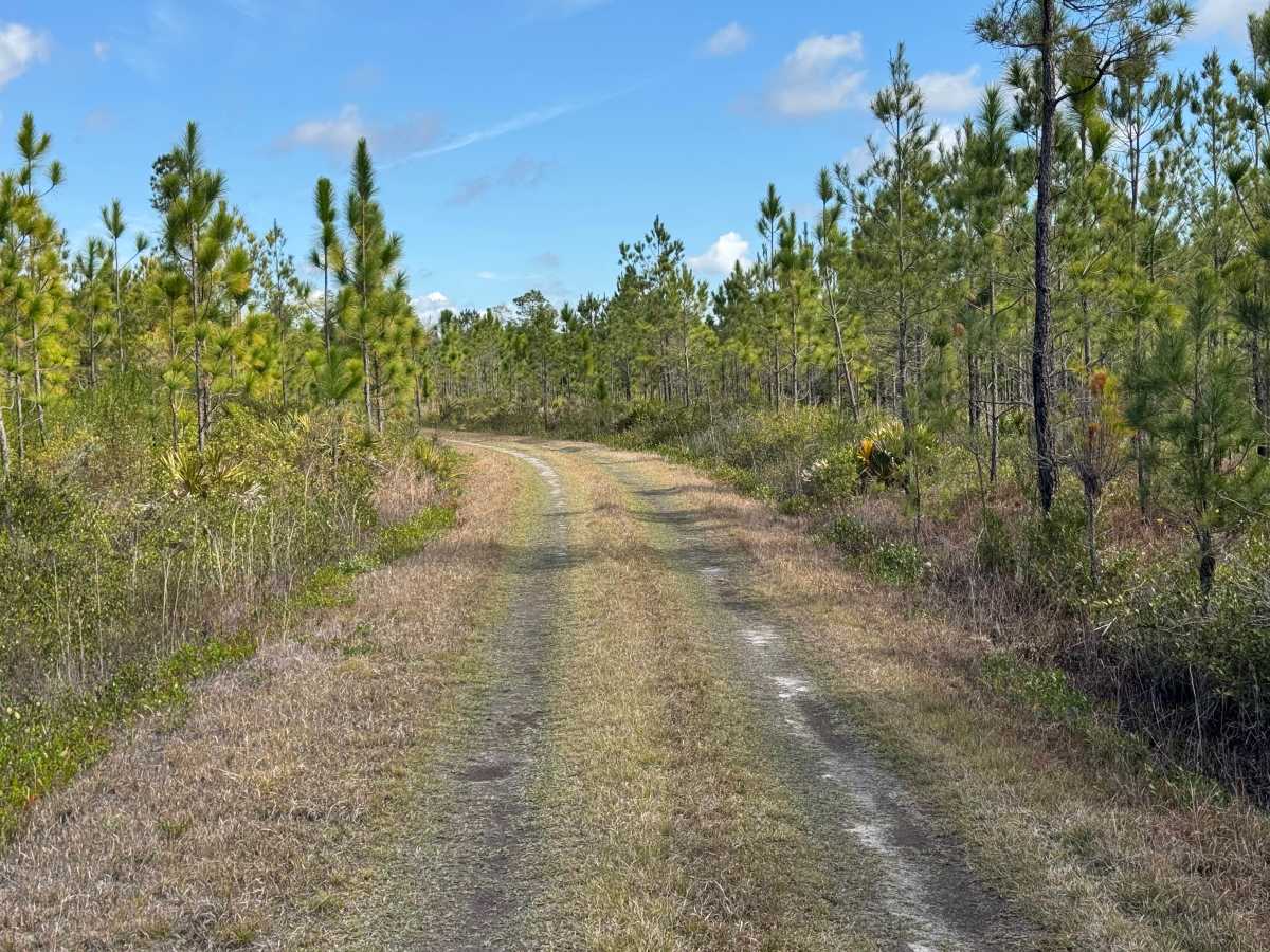 Brown Road photo 3