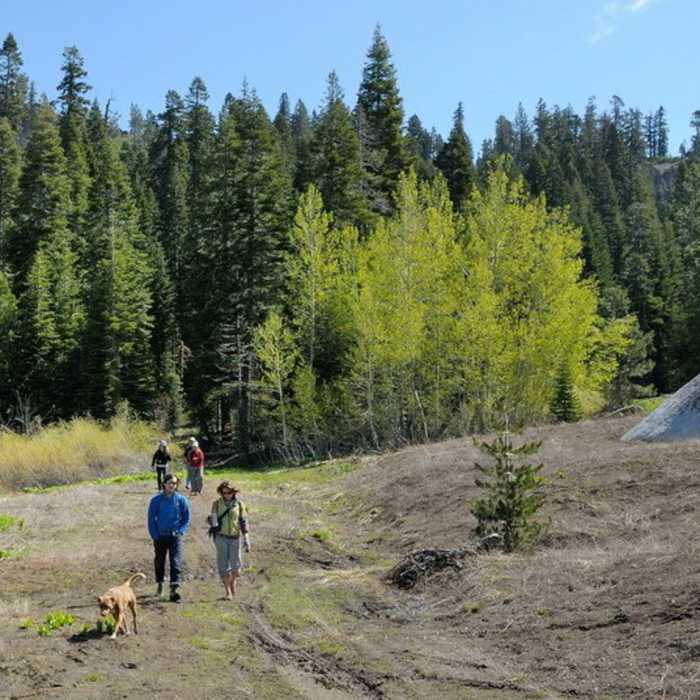 Hiking through sierra meadow on Hellman's Way trail in the Royal Gorge area. Near Hellman's Way Trail