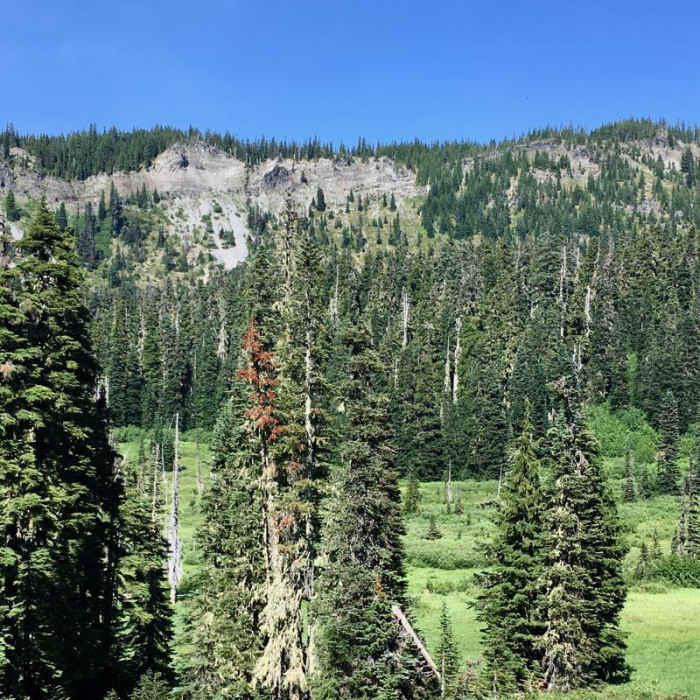 Near Pamelia Lake to PCT Loop