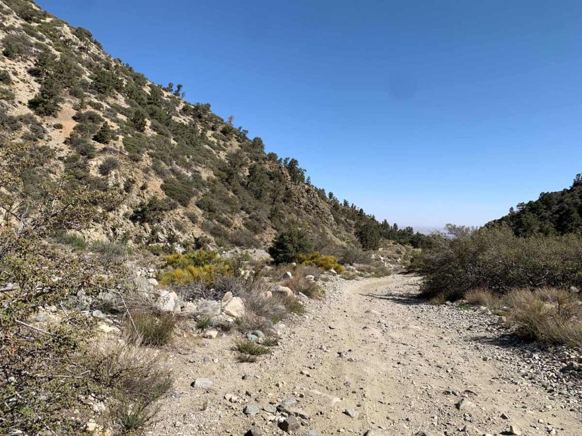 Mescal Canyon Road photo 4