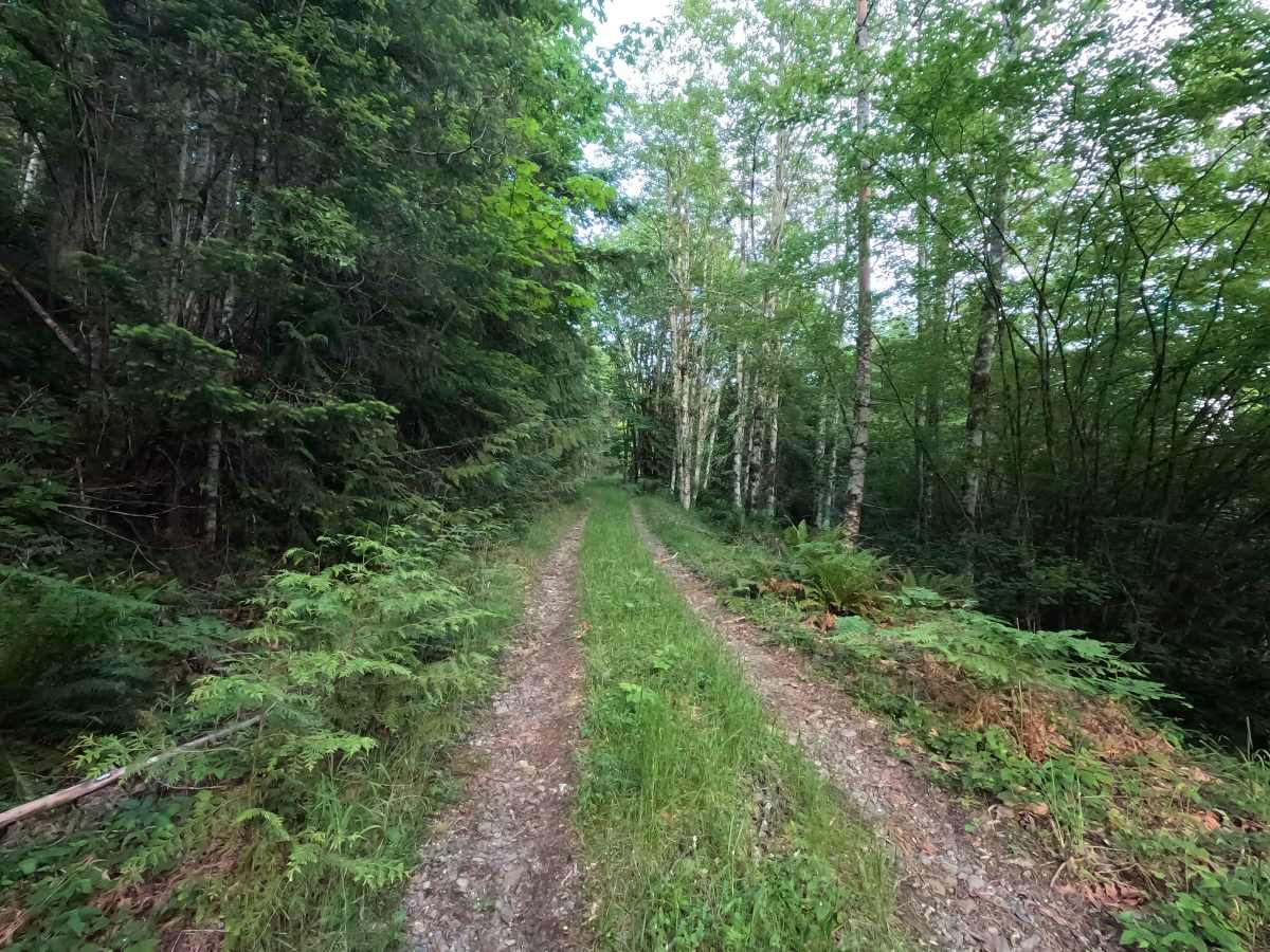 Goldhill - FS 2210 photo 4