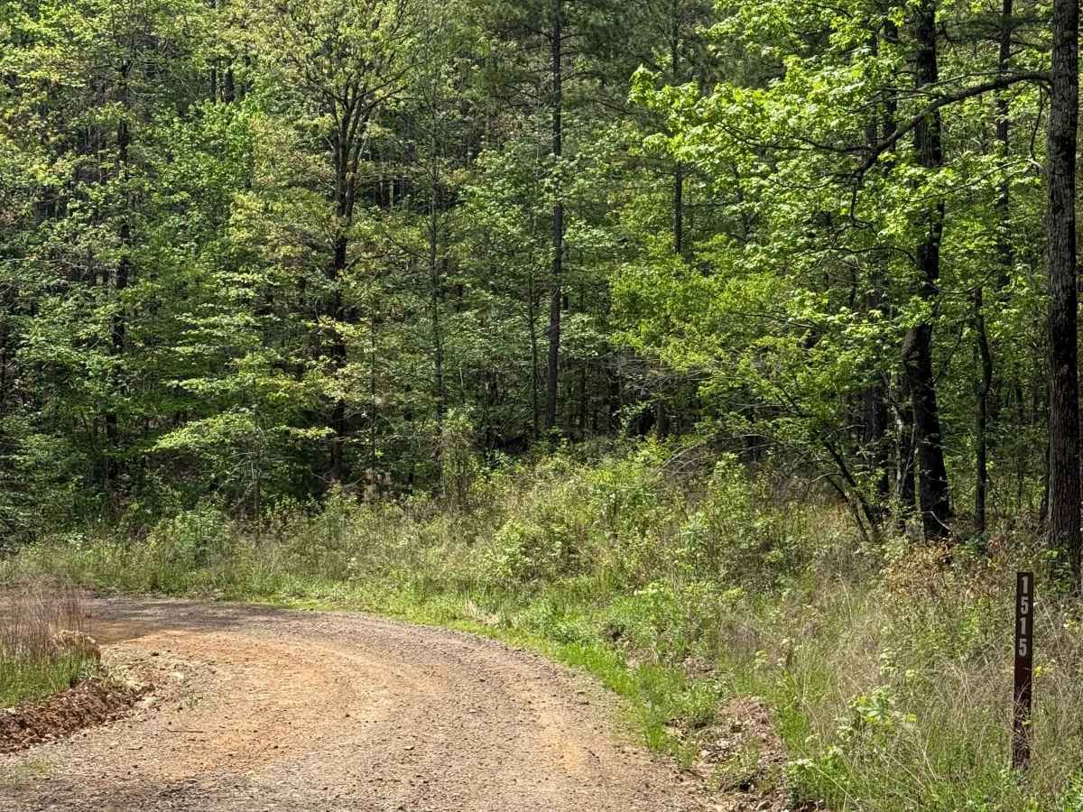 Dam Trail  photo 3
