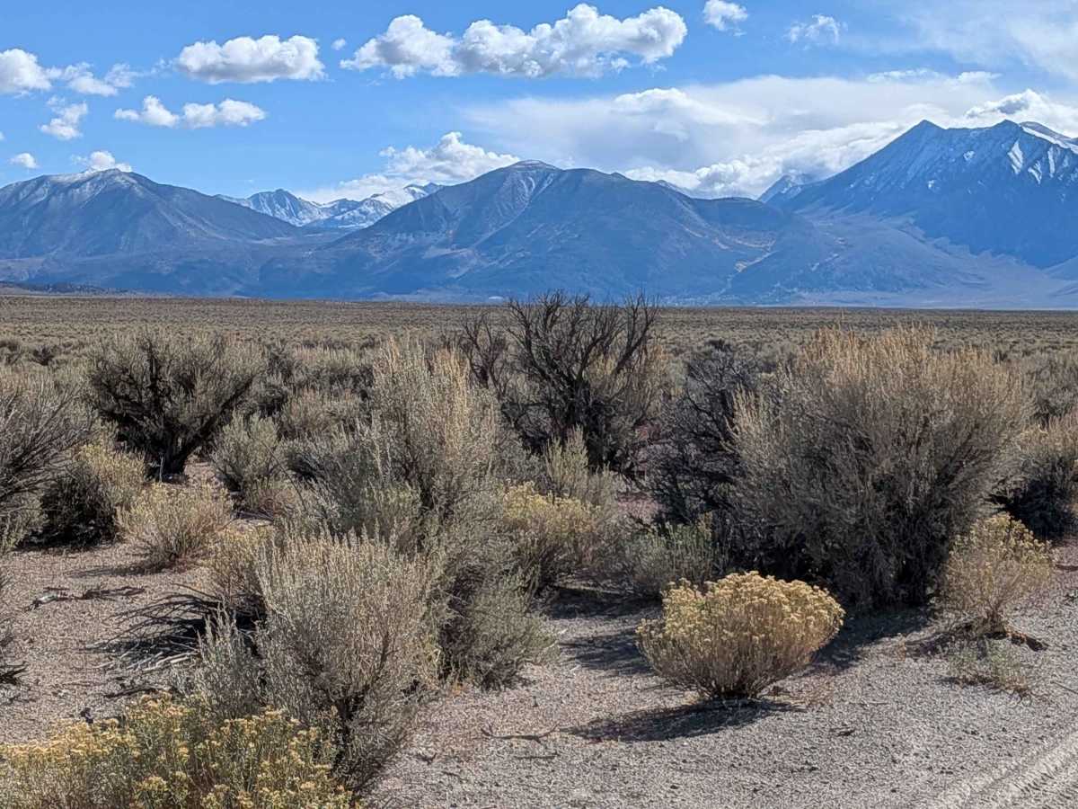 Wilfred Canyon Cutoff - FS 4S148 photo 2