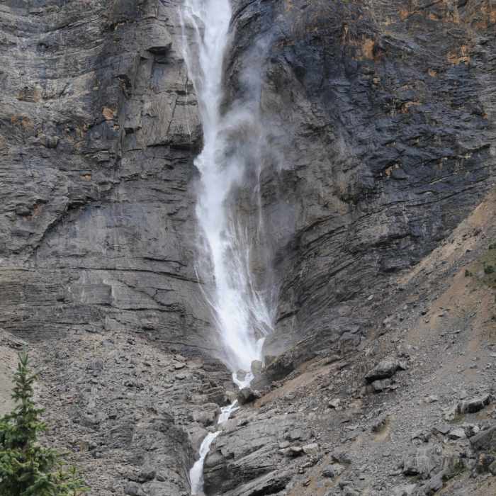 Near Takakkaw Falls Trail