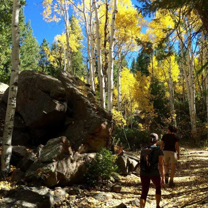 Cool boulders near Difficult Creek Trail Near Difficult Creek Trail