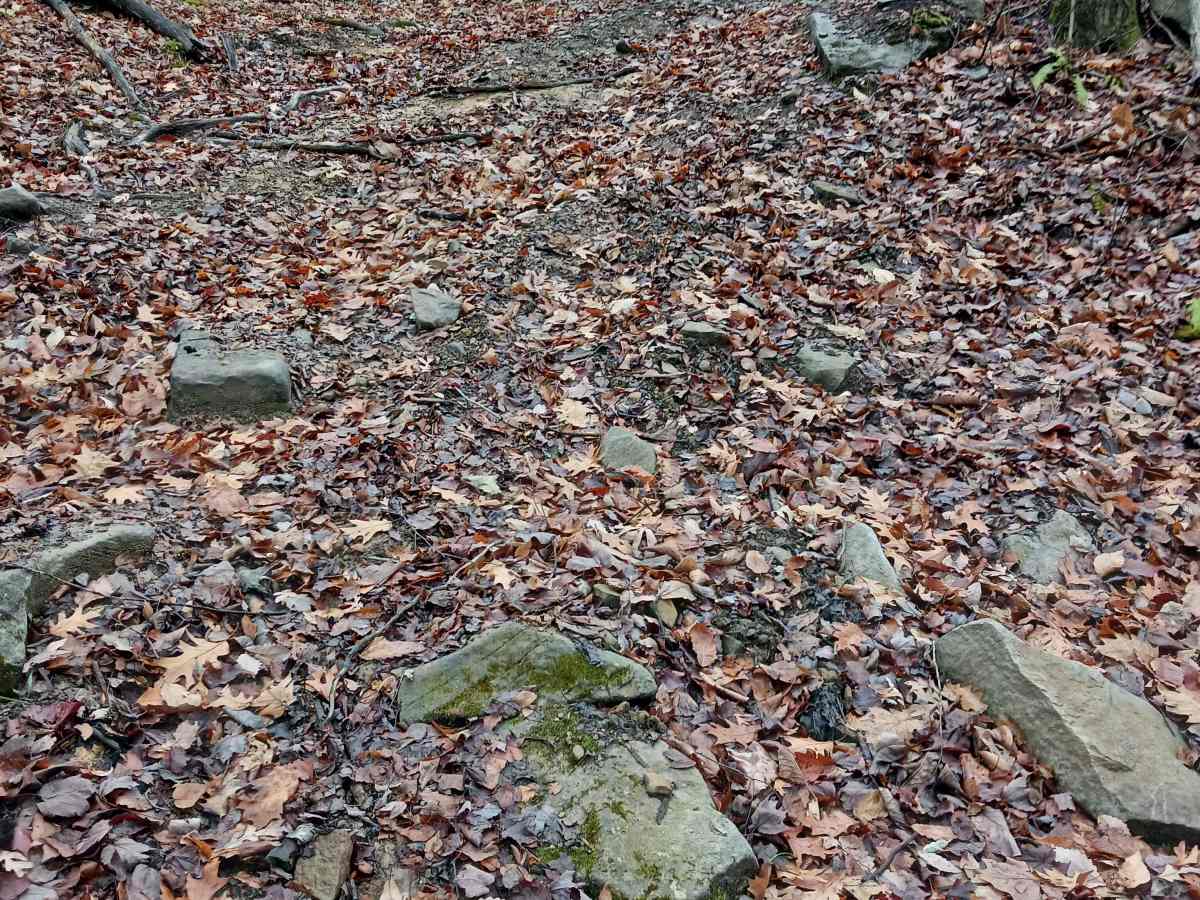 OHV 27 - Rock Run Recreation Area photo 5