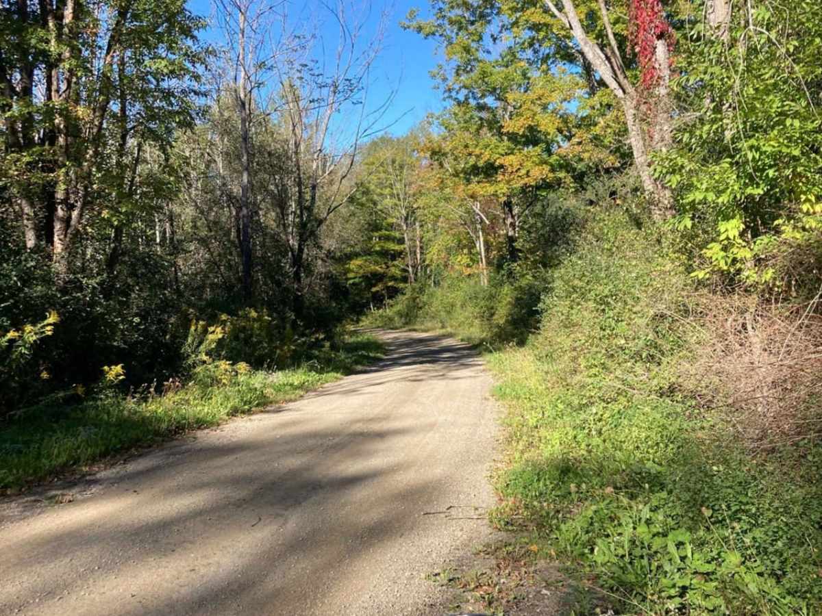 Green Hill Road trail photo