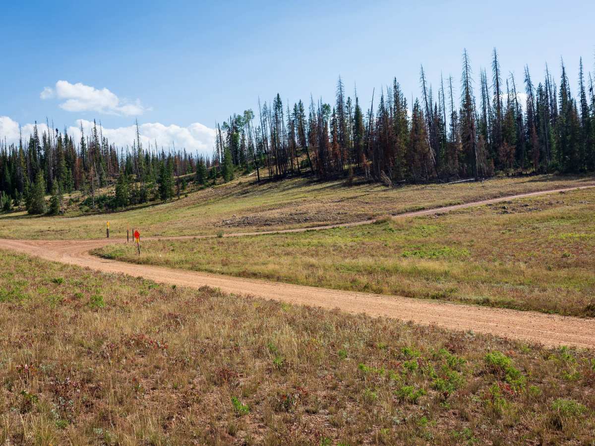Silver Meadows - FS 70174 photo 4
