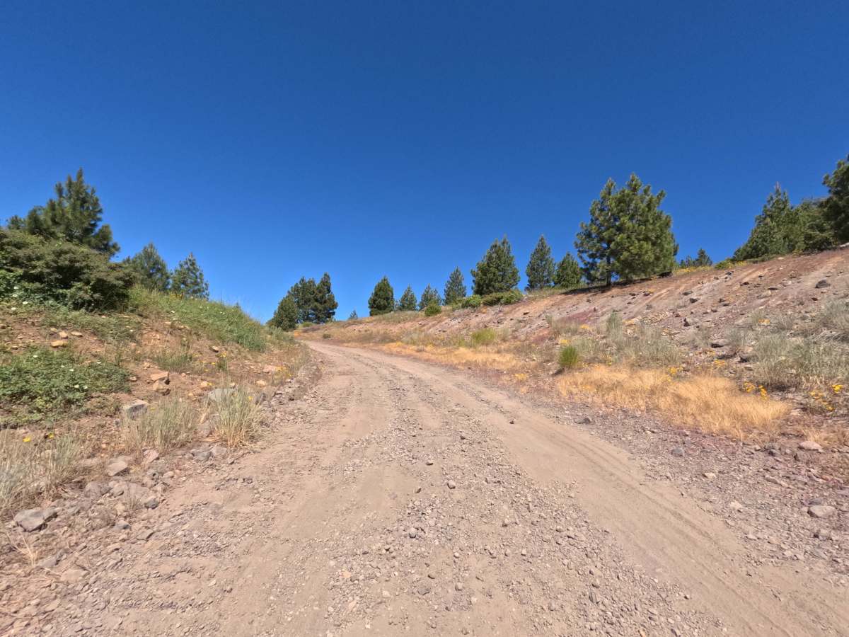 Atherton Tie - FS 11N29 trail photo