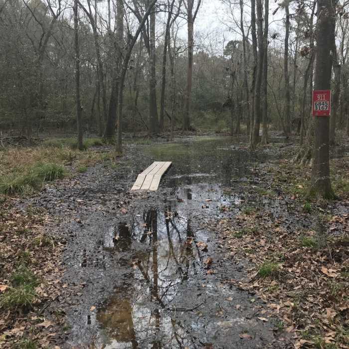 Near Spring Creek Trail