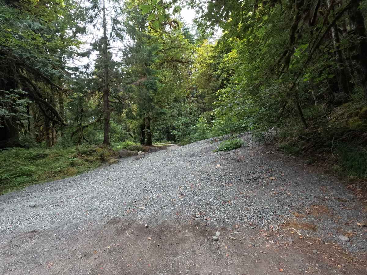 Dosewallips Road - FS 2610 photo 5
