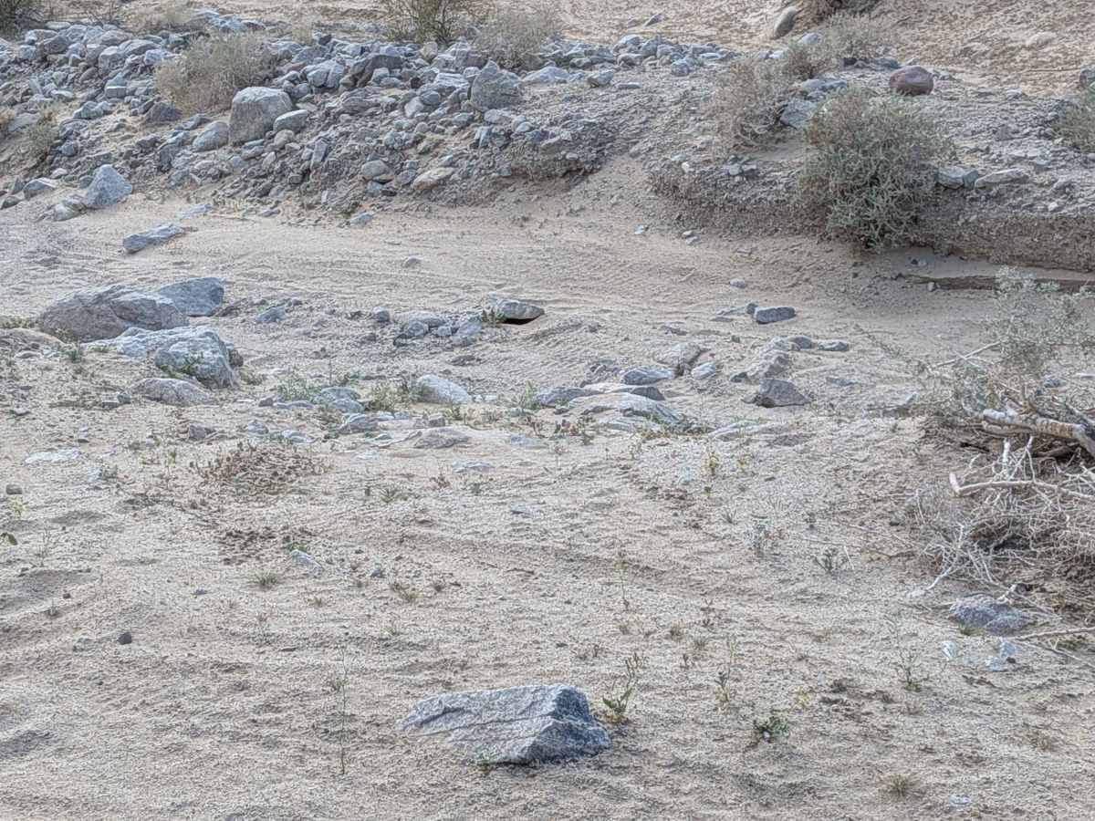 Mine Trail/Loop photo 6