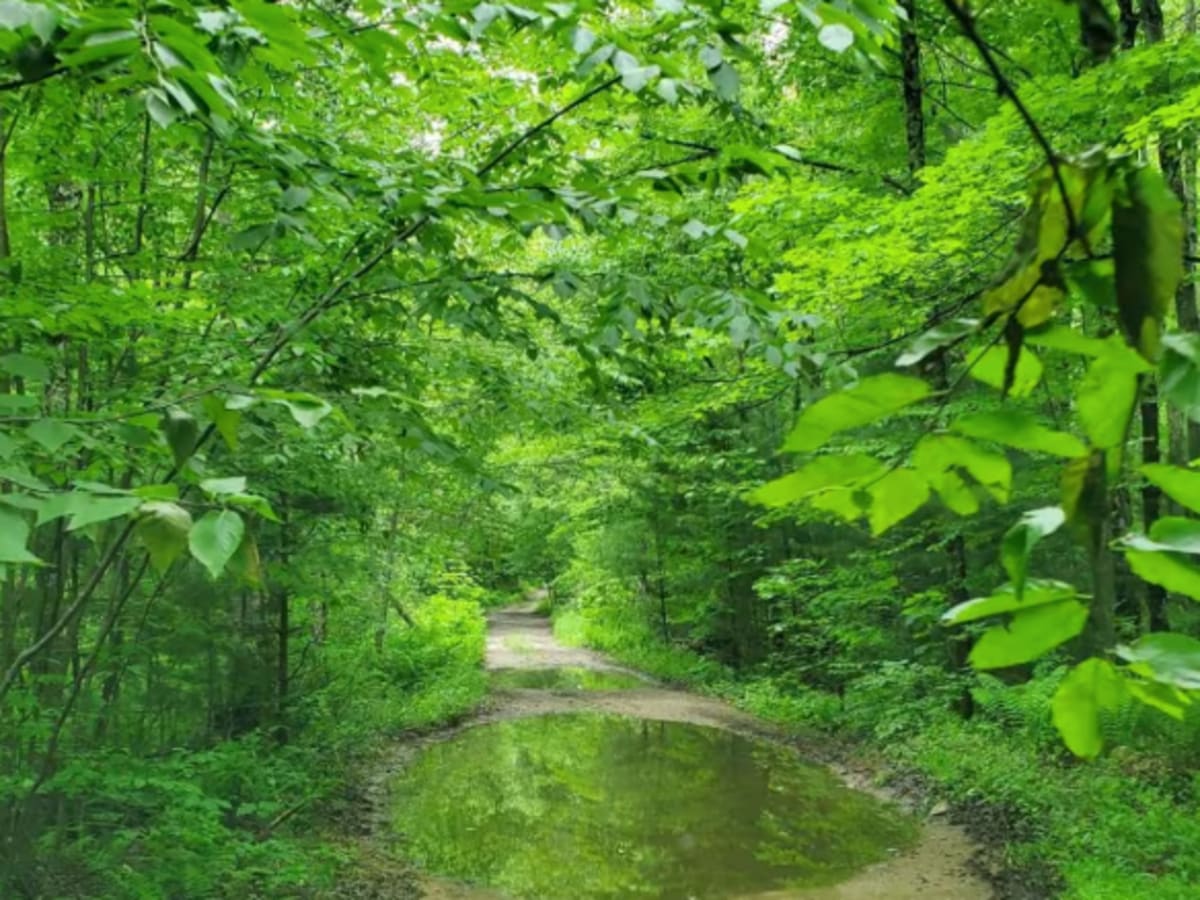 Hampden Road trail photo
