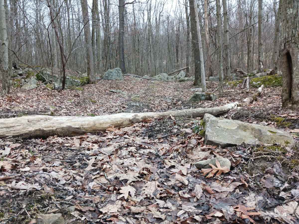 OHV 52 - Rock Run Recreation Area photo 2