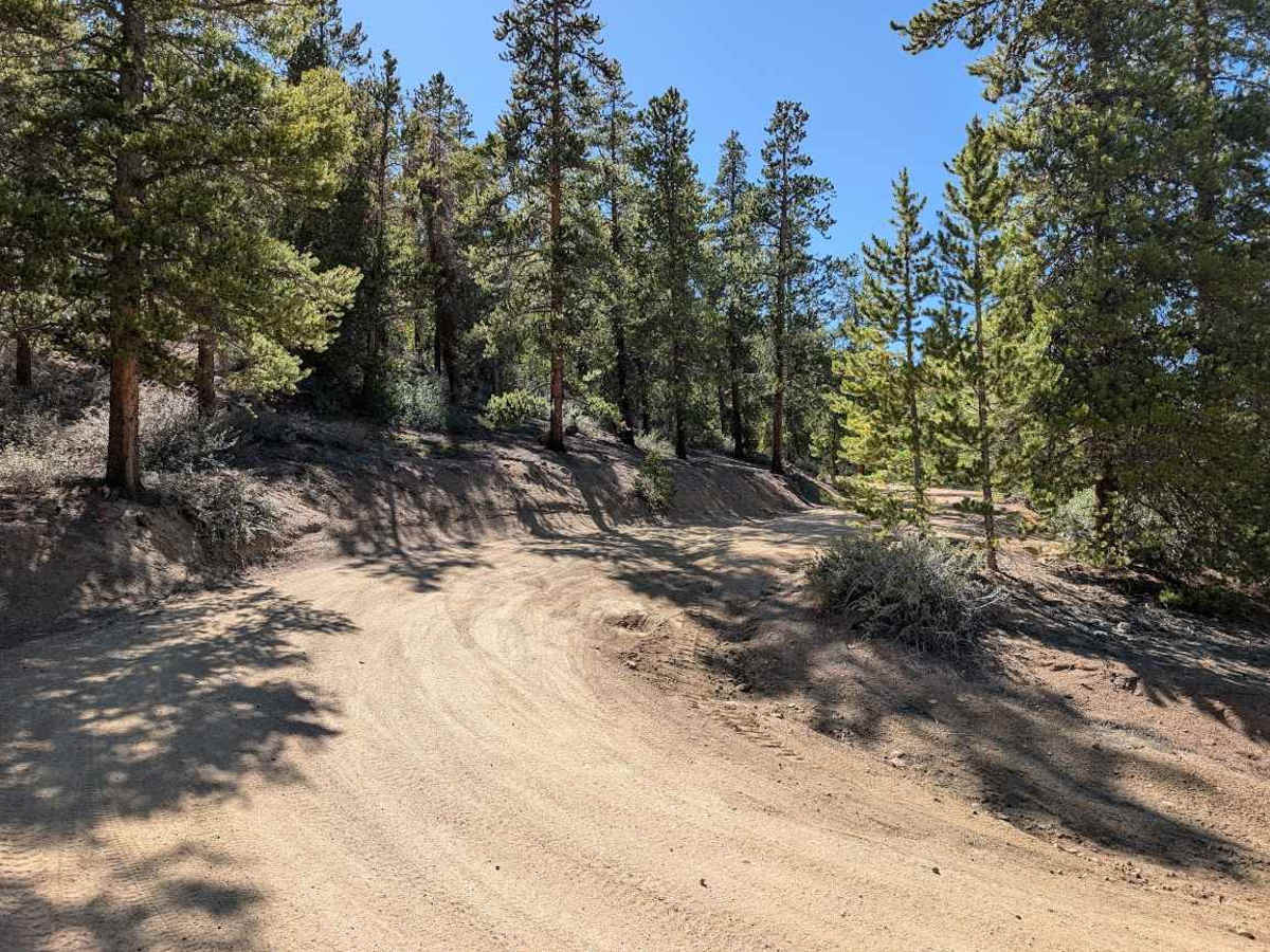 Flume Gulch Road photo 3