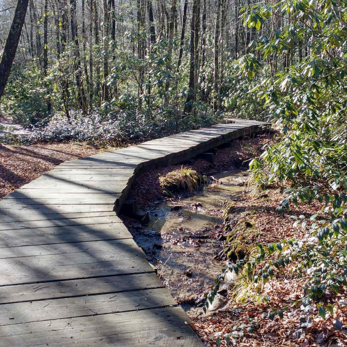 Boardwalk on lower section of Little Green Trail. Near Devils Elbow Trail #448