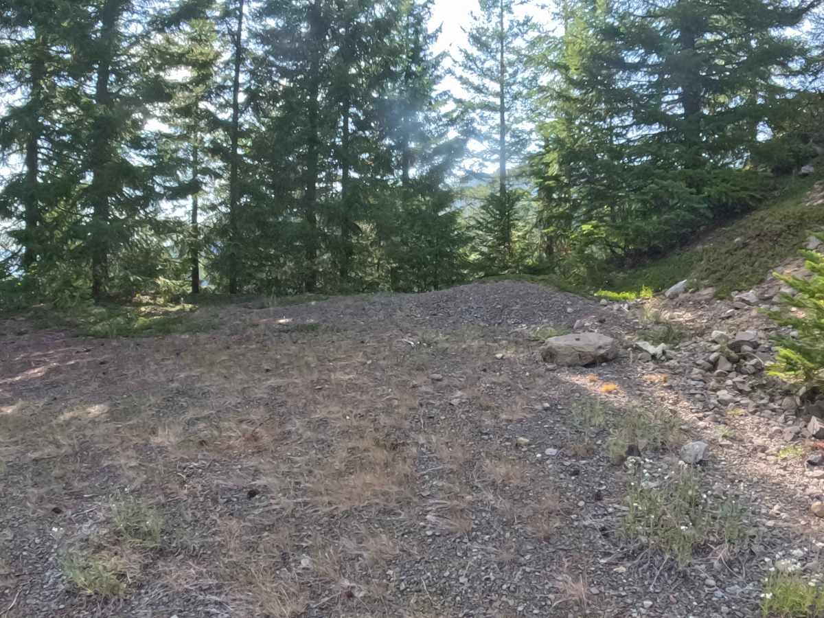 Daly Lake - FS 2266450 photo 5