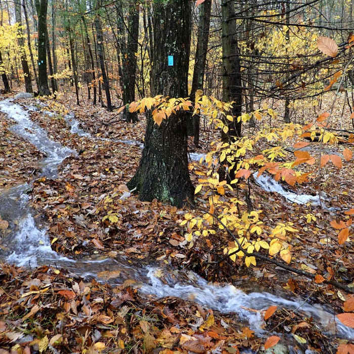 Near Shawangunk Ridge Trail: Gobblers Knob Section Near Shawangunk Ridge Trail: Gobblers Knob Section