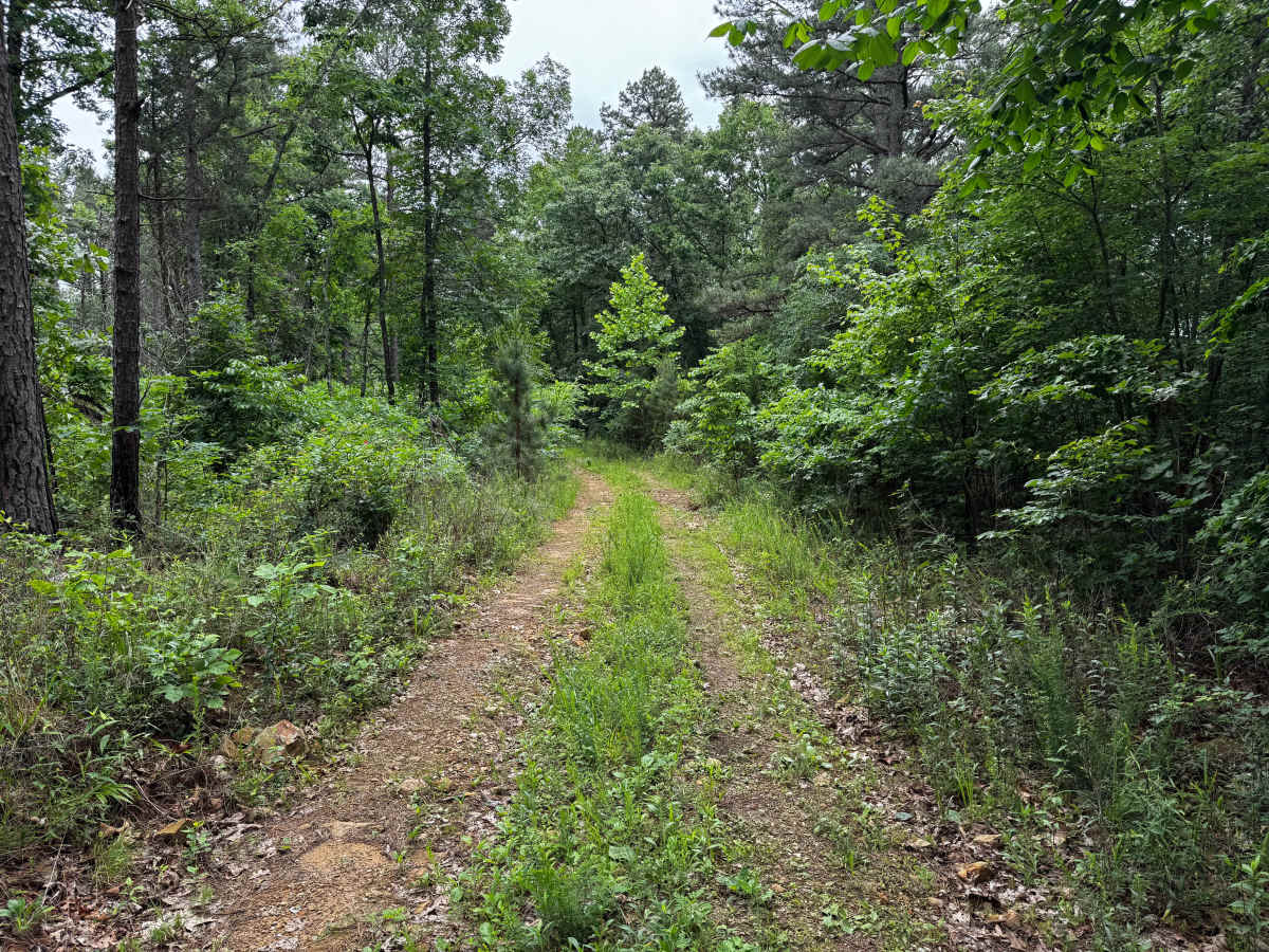Boardtree photo 4