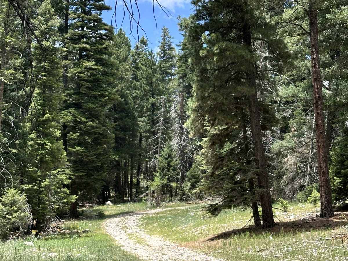 Karr Canyon trail photo
