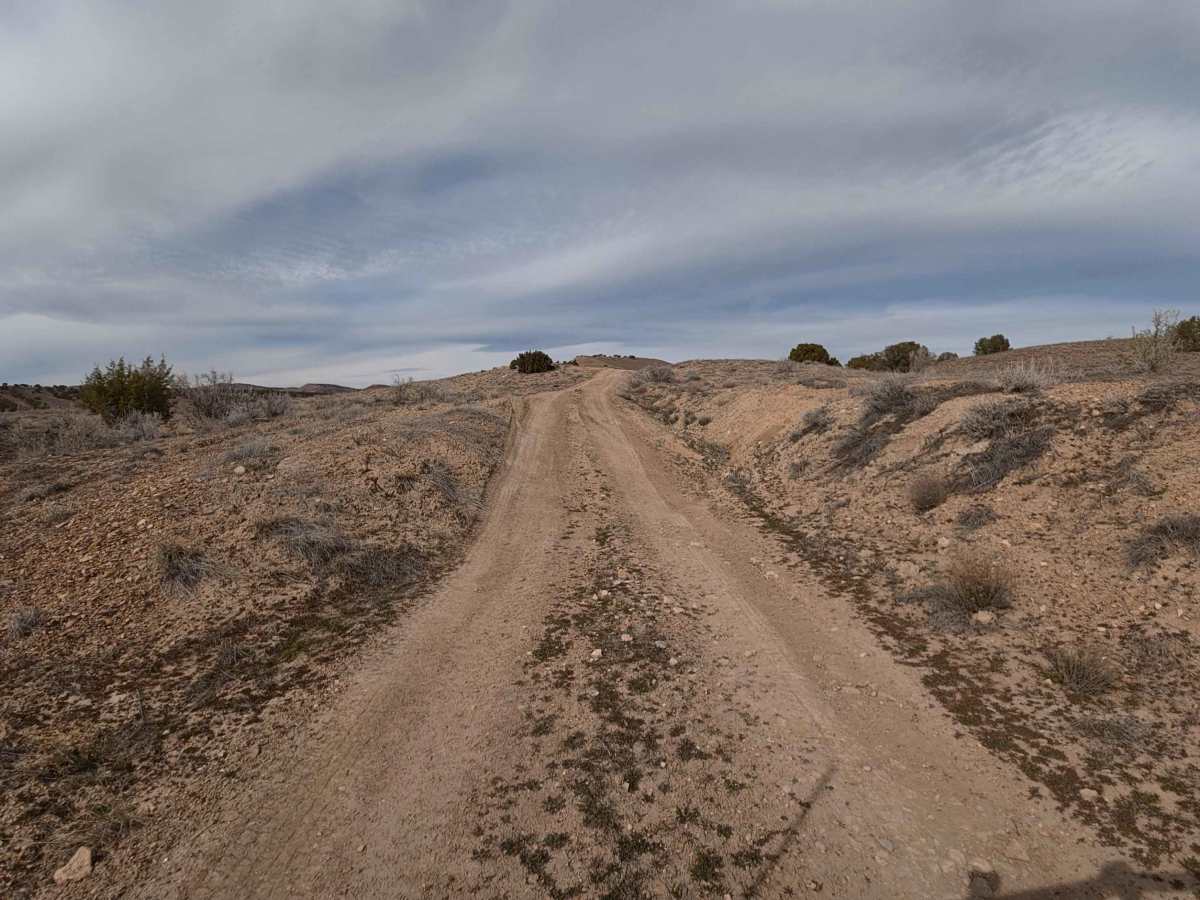 BLM 130 photo 4