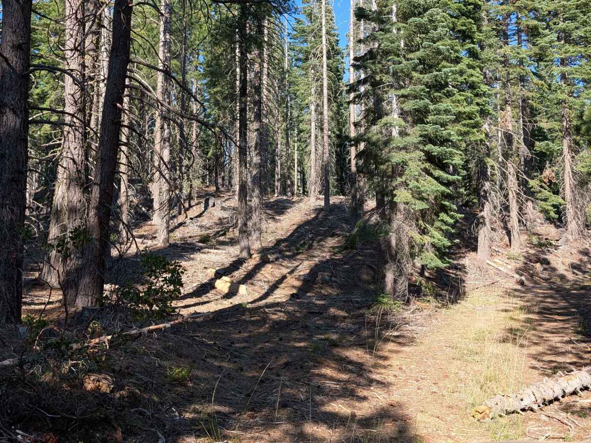 Lava Gap FS42N59 trail photo