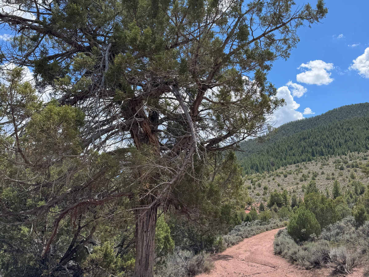 CO Land Trust Easement photo 5