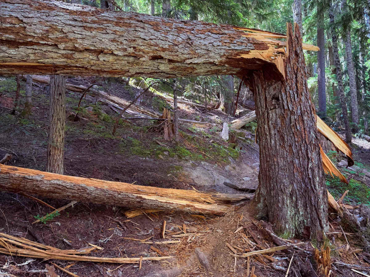 Middle Fork - 945  photo 5