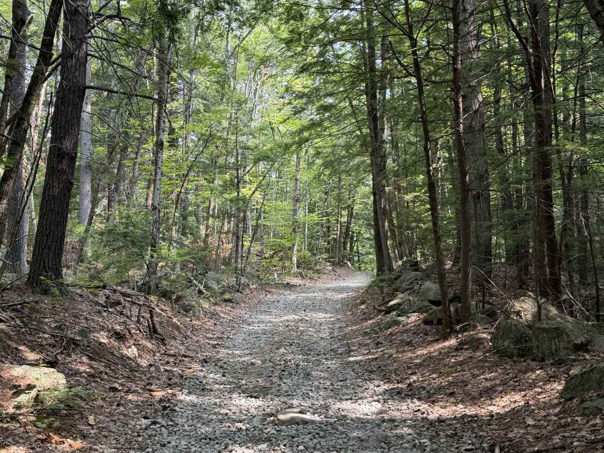 Mink Hill Road photo 2