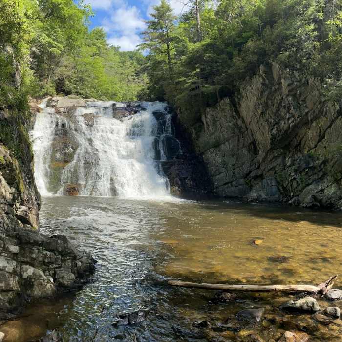 Near Laurel Falls Out and Back from Dennis Cove