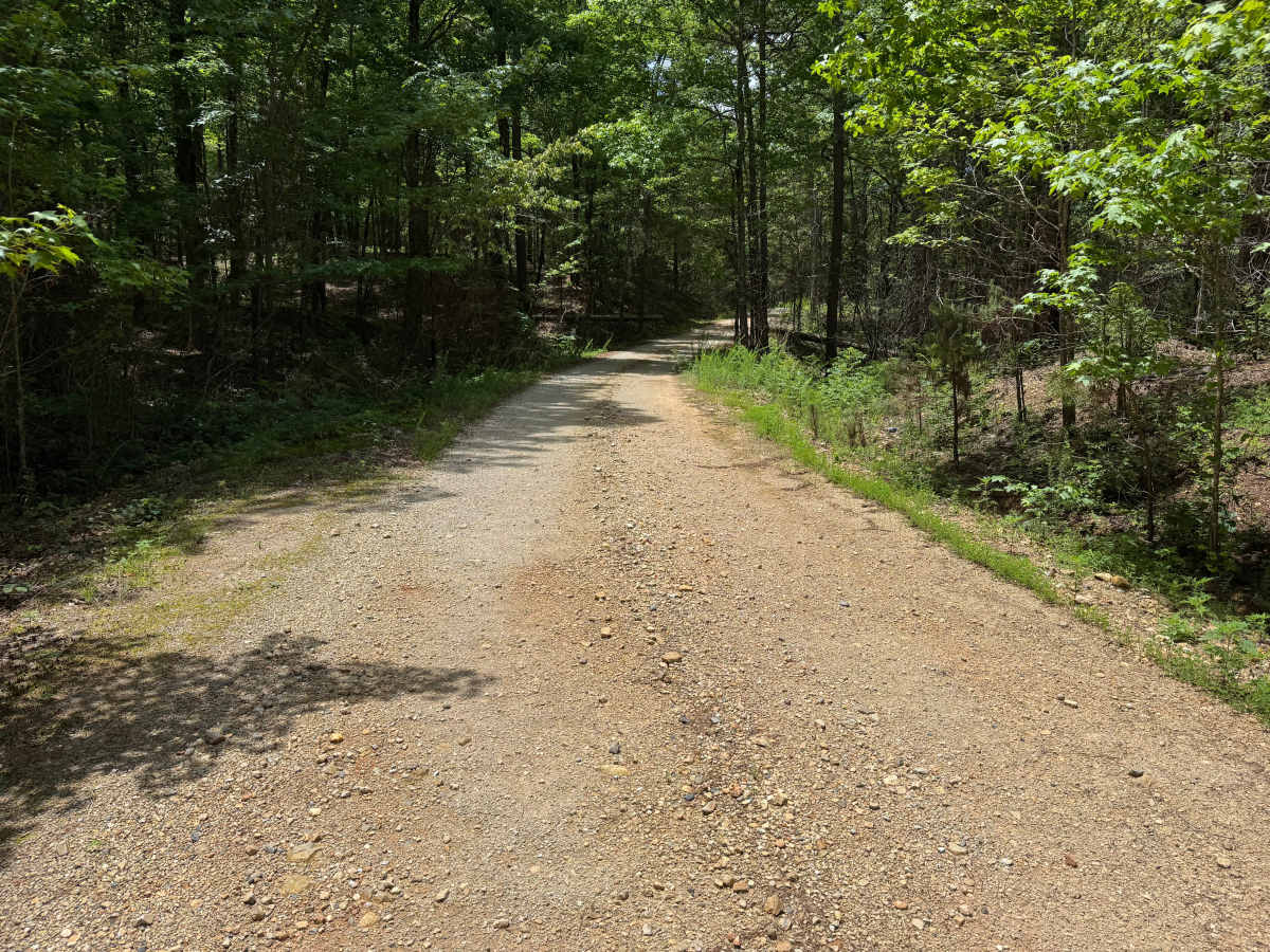 Cedar trail photo
