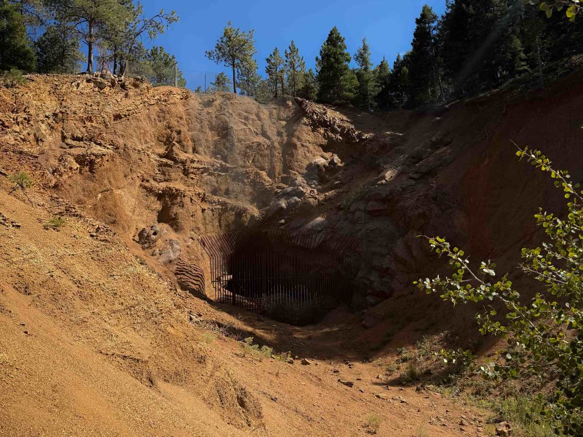 Gold Camp Road - FS 626 photo 6
