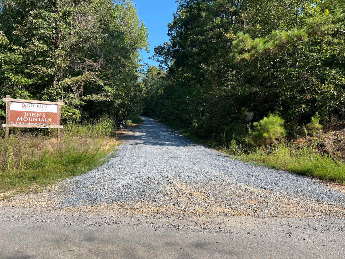 Blue Springs Branch A - FS 955A trail photo