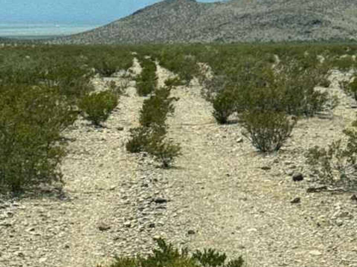 Ss1170 Part A trail photo