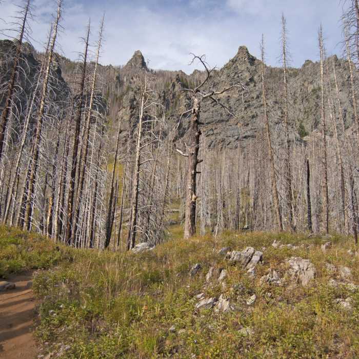 Near Pine Creek Lake