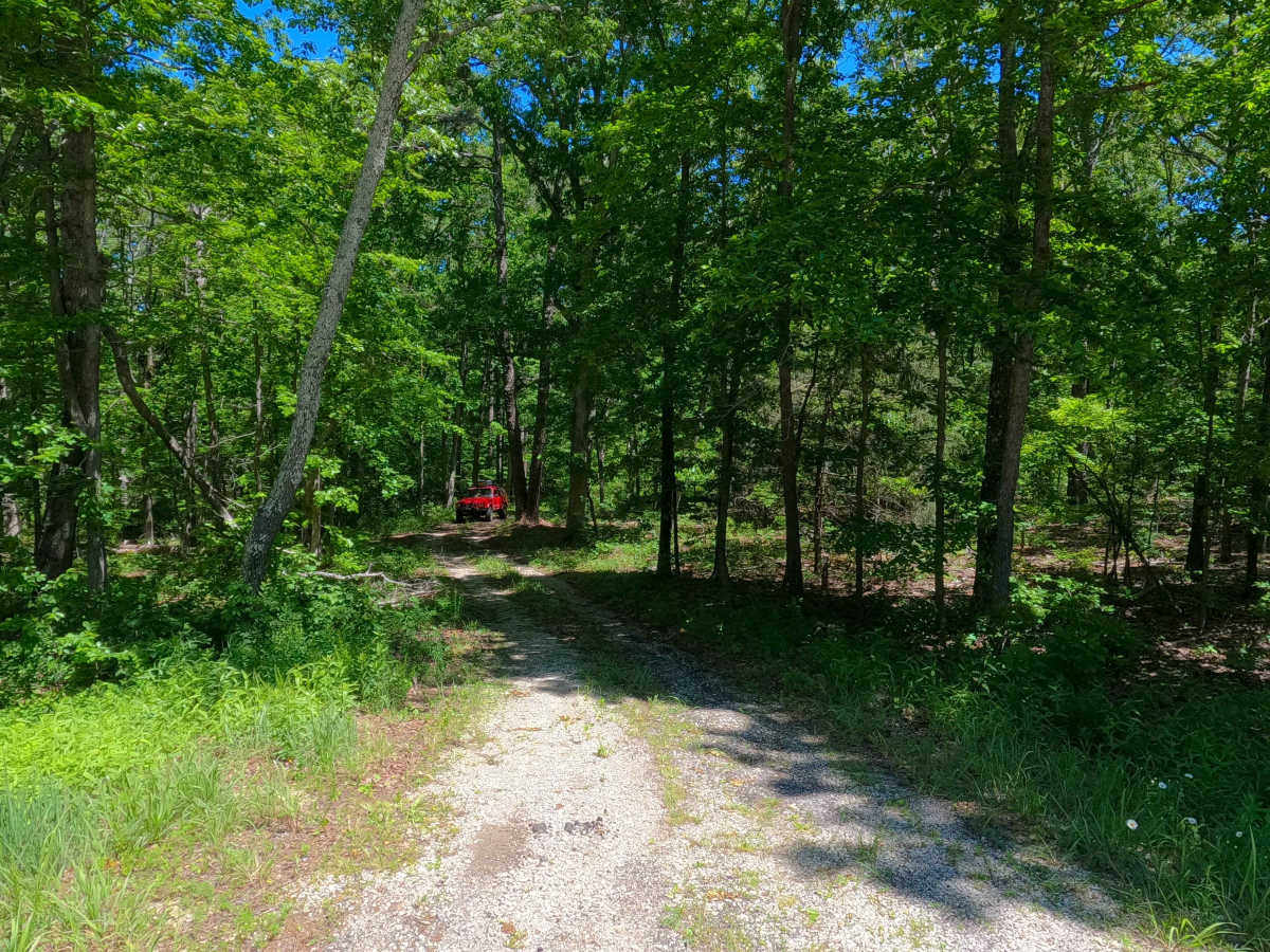 South Cane - FS 3575 photo 2
